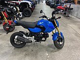 New 2026 Honda Grom