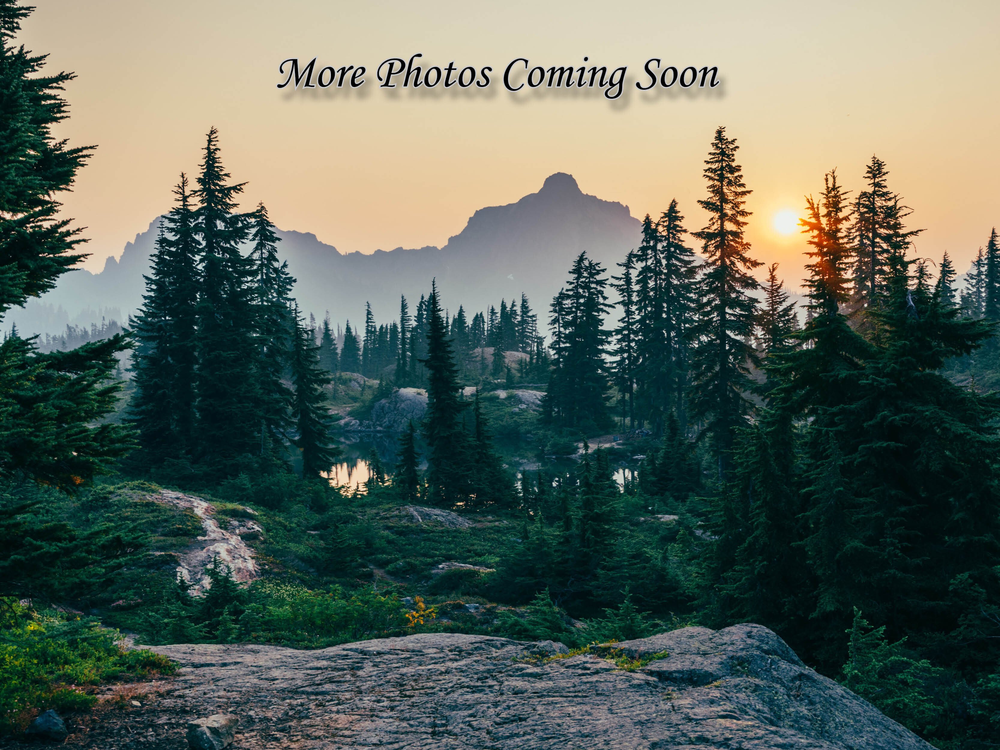 New 2025 Honda CRF300L ABS