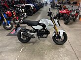 New 2026 Honda Grom