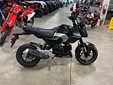 New 2026 Honda Grom