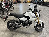New 2026 Honda Grom