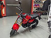 New 2026 Honda Grom
