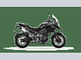 New 2024 Triumph Tiger 1200 GT Pro