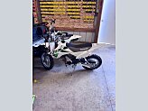 New 2026 Kawasaki KLX110R