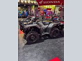 New 2025 Honda FourTrax Foreman Rubicon