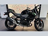 New 2025 Kawasaki Z500 ABS