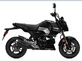 New 2026 Honda Grom
