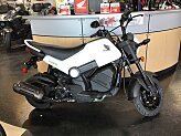 New 2025 Honda Navi