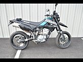 2023 Kawasaki KLX300 SM