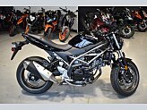 2024 Suzuki SV650