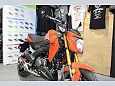 2025 Kawasaki Z125 Pro