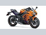New 2025 Kawasaki Ninja 650 ABS