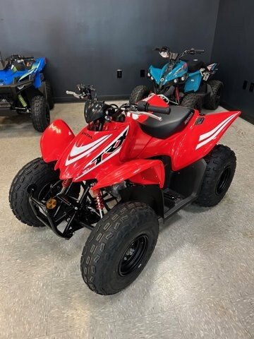 New 2025 Honda TRX90X