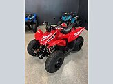 New 2025 Honda TRX90X