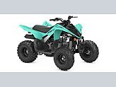 New 2025 Yamaha Raptor 110