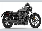 2024 Harley-Davidson Sportster Nightster