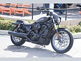 New 2025 Harley-Davidson Sportster Nightster Special