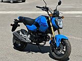 New 2025 Honda Grom