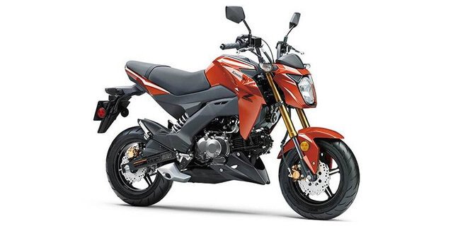 New 2025 Kawasaki Z125 Pro