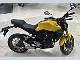 New 2024 Honda CB300R ABS