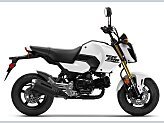 New 2026 Honda Grom