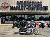 2002 Harley-Davidson Sportster