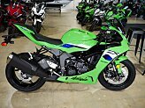 New 2026 Kawasaki Ninja ZX-6R