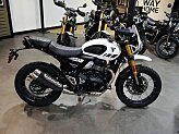 New 2026 Triumph Scrambler XC