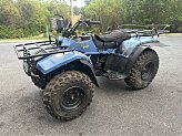 1995 Suzuki QuadRunner 250