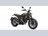 New 2025 Ducati Scrambler Icon Dark