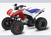 New 2026 Honda TRX250X