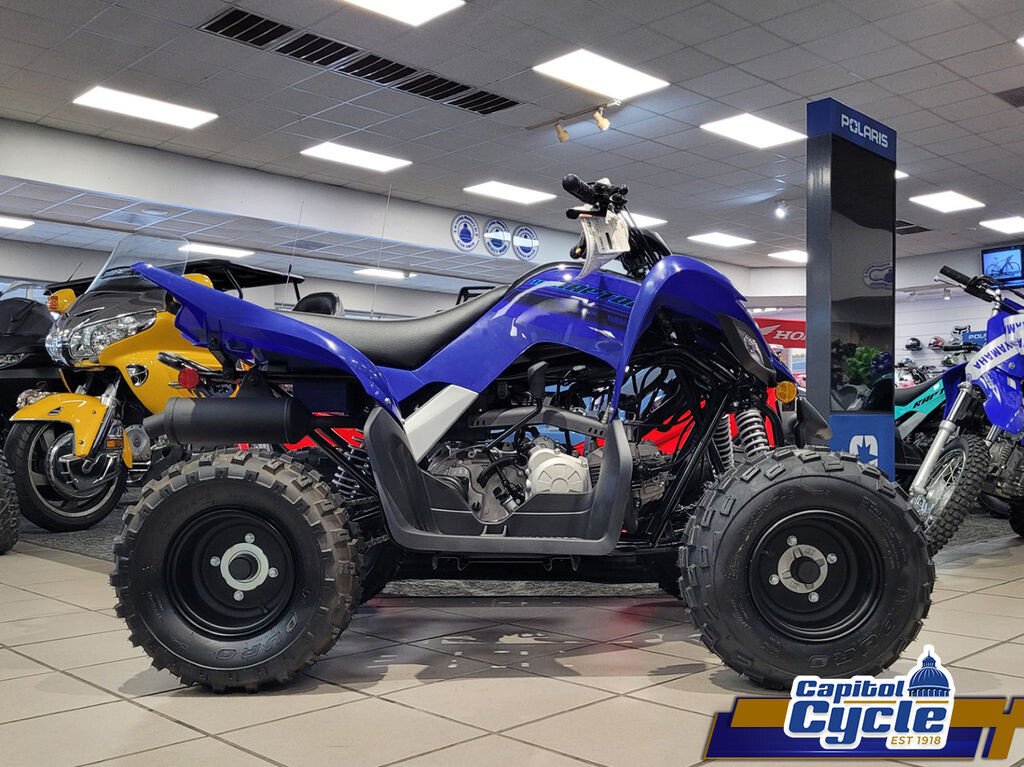 New 2025 Yamaha Raptor 110