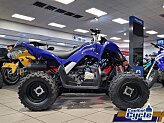 New 2025 Yamaha Raptor 110