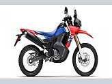 New 2025 Honda CRF300L Rally ABS