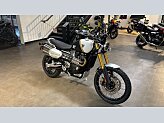 New 2026 Triumph Scrambler 1200 XE