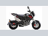 2024 Benelli TNT 135