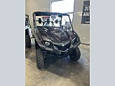 New 2024 Yamaha Viking