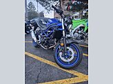 New 2026 Suzuki SV650