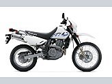 New 2024 Suzuki DR650S