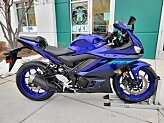 2024 Yamaha YZF-R3