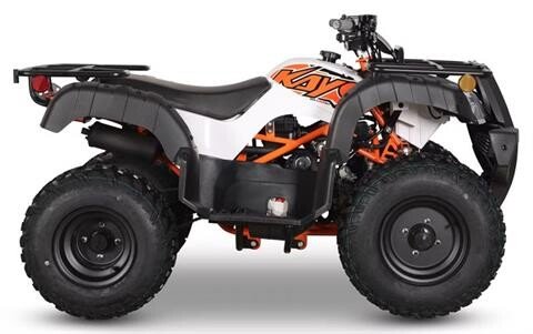 New 2026 Kayo Predator