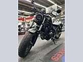 New 2025 Honda Rebel 500