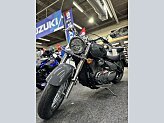 New 2025 Suzuki Boulevard 800