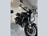 New 2024 Kawasaki Z900 RS