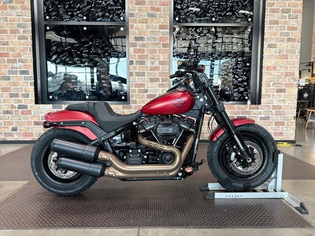 2019 Harley-Davidson Softail