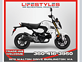 New 2025 Honda Grom