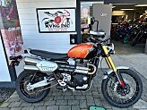 2025 Triumph Scrambler XE