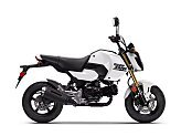 New 2025 Honda Grom