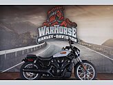 2025 Harley-Davidson Sportster Nightster Special