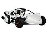 New 2025 Campagna T-Rex